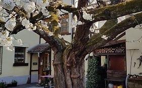 Ferienwohnung Zum-alten-Kirschbaum